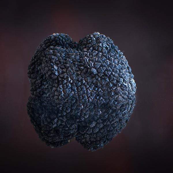 Fresh Black Truffle-Tuber Uncinatum - Zigante Tartufi Online Shop, Truffle Shop, Truffle Products